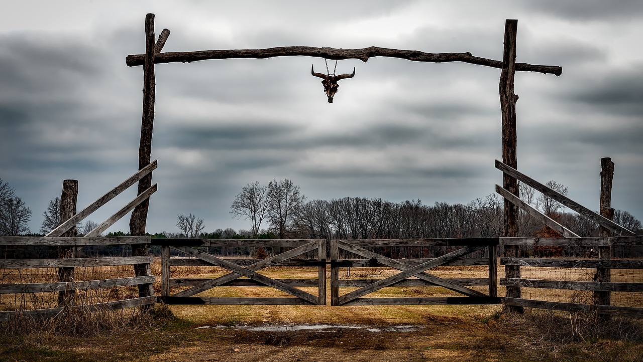 texas-ranch